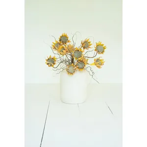 Botanica #2688 2