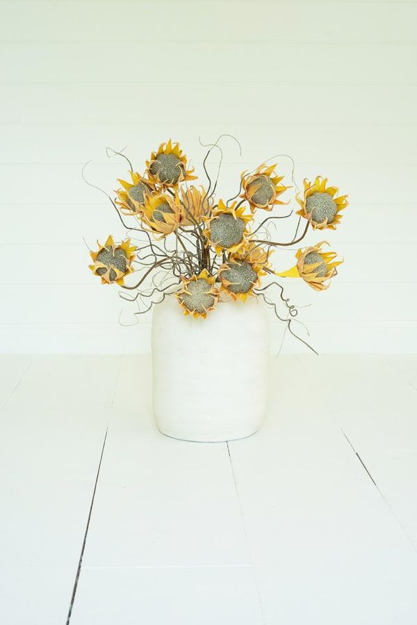 Botanica #2688