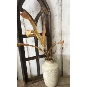Gold Palm Grass 1