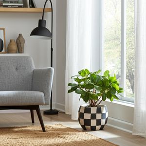PAXTONSHAW BLACK PLANTER 7 (IN) 2