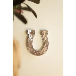 Disco Mirror Horseshoe 2