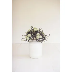 Botanica #2841 1