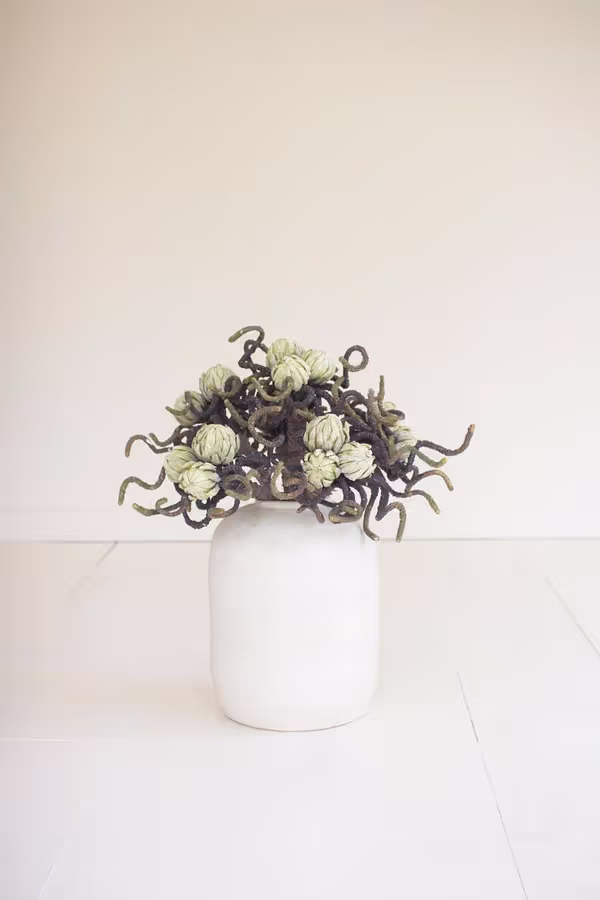 Botanica #2841