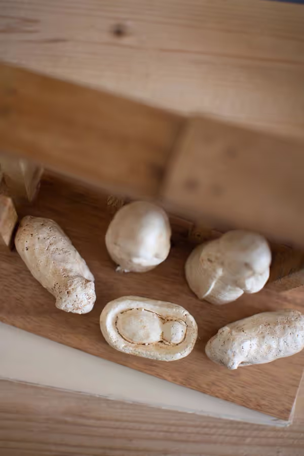 Wooden Nativity with Paper Mache Figures