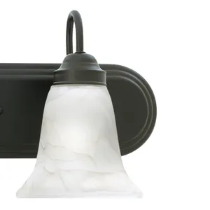 Homestead 24'' Wide 3-Light Vanity Light - Painted Bronze 2