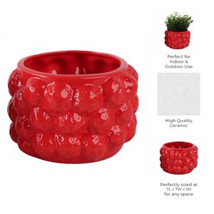 CALWIND RED PLANTER 5 (IN) 9