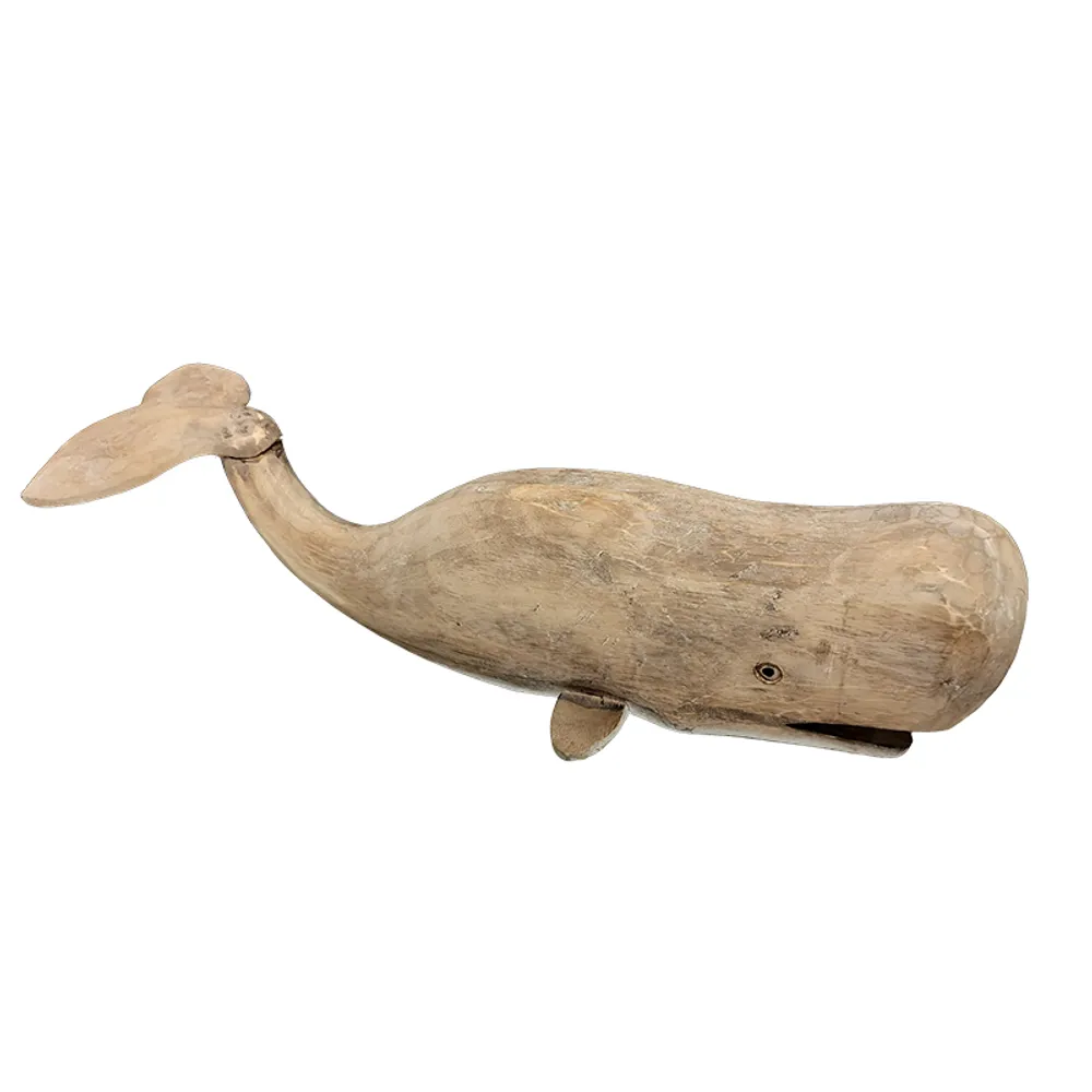19" WHALE
