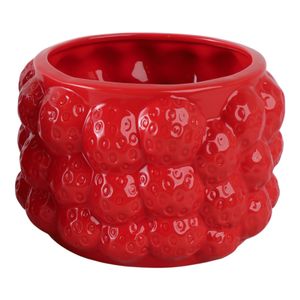 CALWIND RED PLANTER 5 (IN) 3