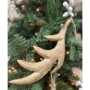 Large Antler Ornament 10x4in 1