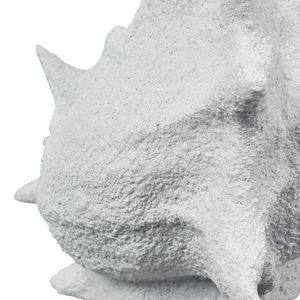 Tigertail Shell - Textured White 5