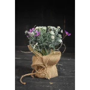 Cream & Purple Sitter 8in 1