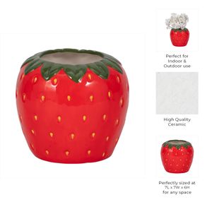 FINCHMOOR RED PLANTER 6 (IN) 9