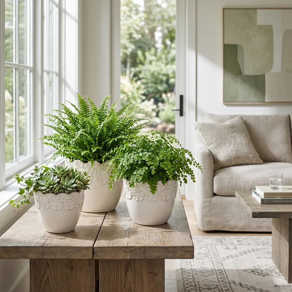 SLATERGATE SET OF 3 IVORY PLANTER 10 (IN)