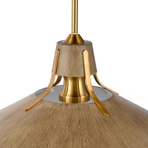 Danique 24'' Wide 1-Light Pendant - Corkwood 3