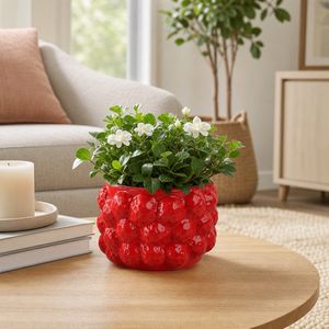 CALWIND RED PLANTER 5 (IN) 2