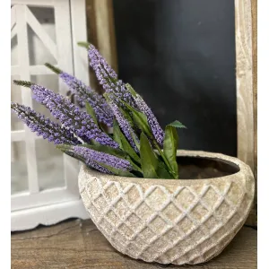 Purple Millet 3