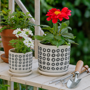 ELDONLAKE SET OF 2 BLACK PLANTER 6 (IN) 13
