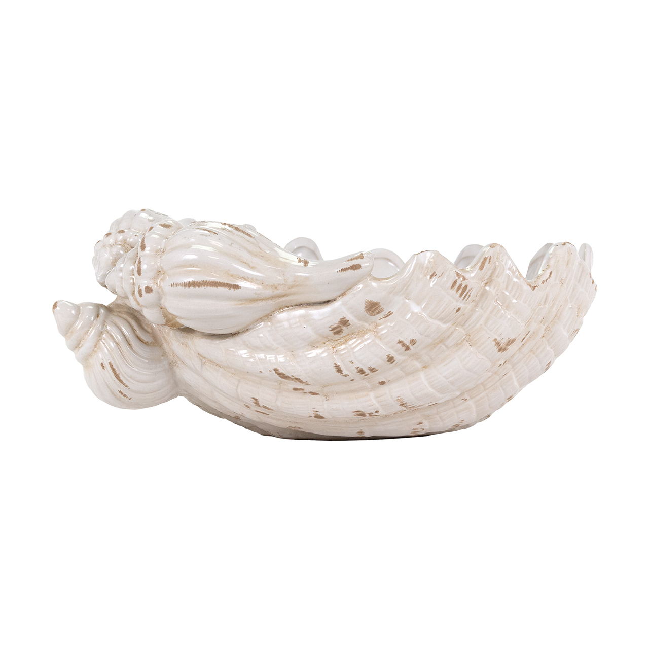 Giant Clamshell Bowl 3