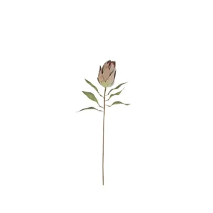 botanica #9032 2