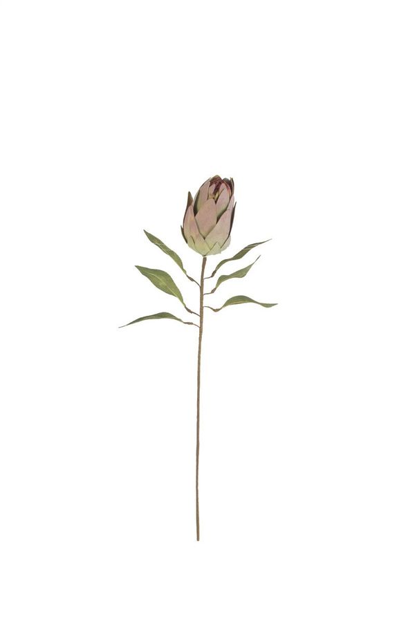 botanica #9032