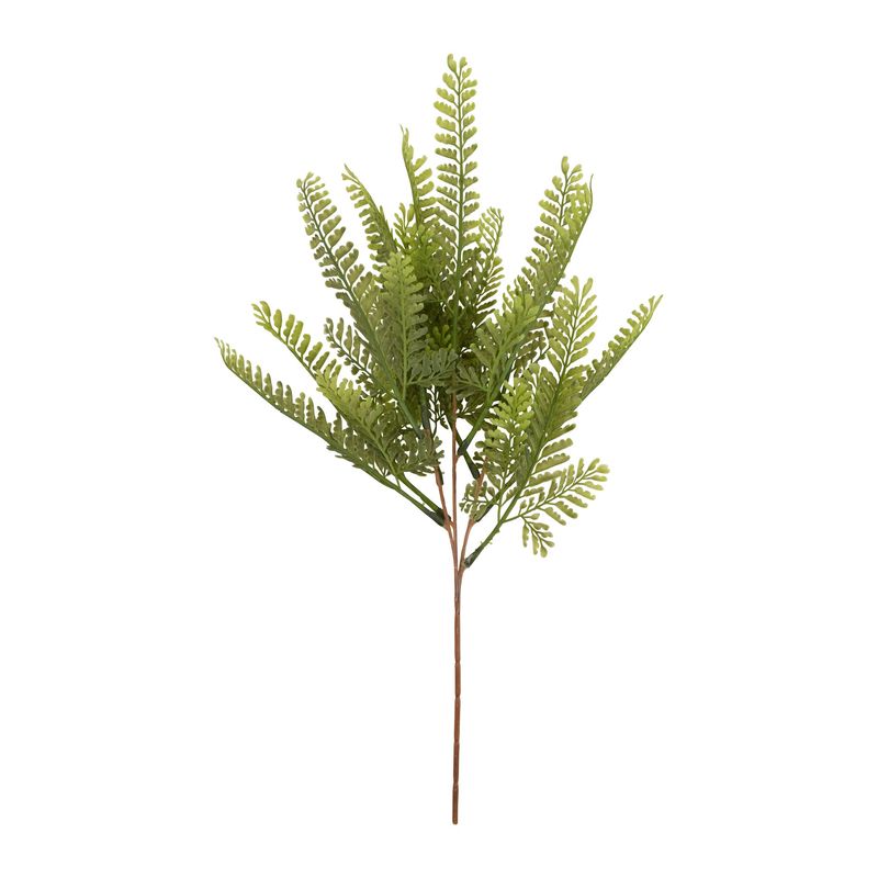 FERN PICK H17