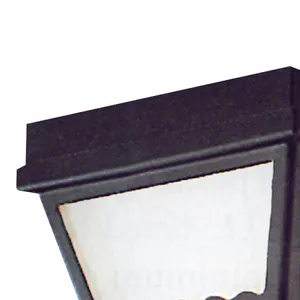 Wavy 9.5'' Wide 2-Light Outdoor Flush Mount - Black 4