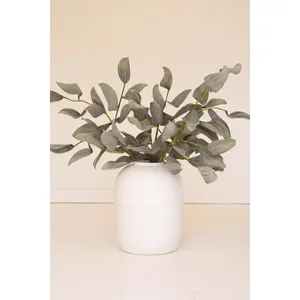 Botanica #2425 2