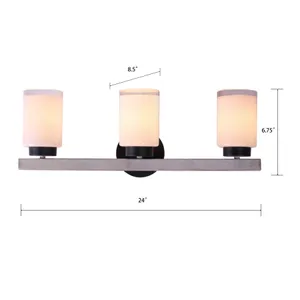 Briggs 24'' Wide 3-Light Vanity Light - Black 3