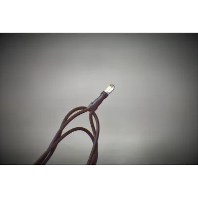 100 Bulb Primitive Rice String Light 19.5 ft Brown Cord - Steady On"