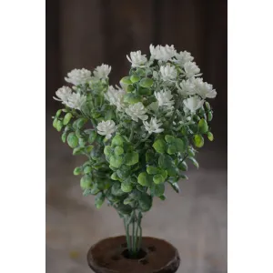 Cream Spring Bundle 1