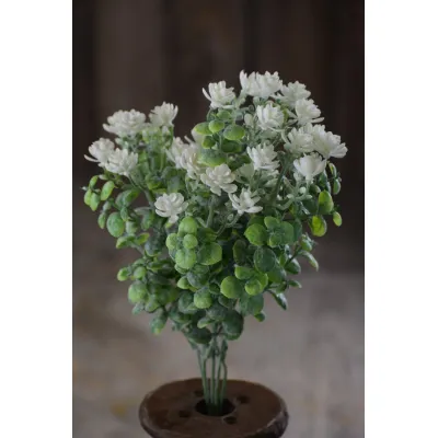 Cream Spring Bundle