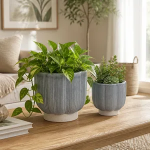 CARVERVALE SET OF 2 BLUE PLANTER 8 (IN) 11