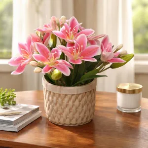 Morning Bloom Pot 10in 1