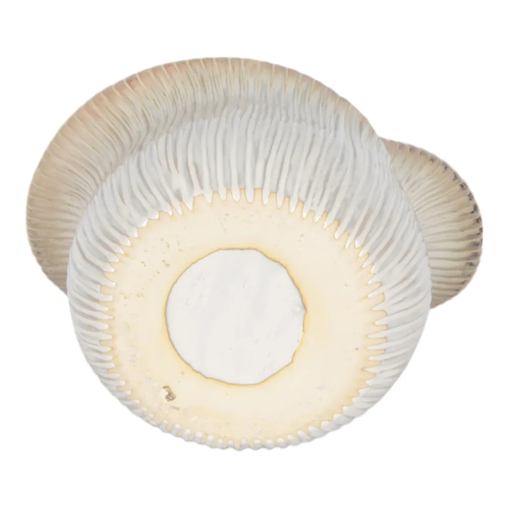 HALTONSHAW IVORY VASE 15 (IN)