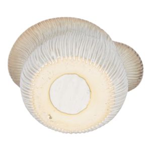 HALTONSHAW IVORY VASE 15 (IN) 7