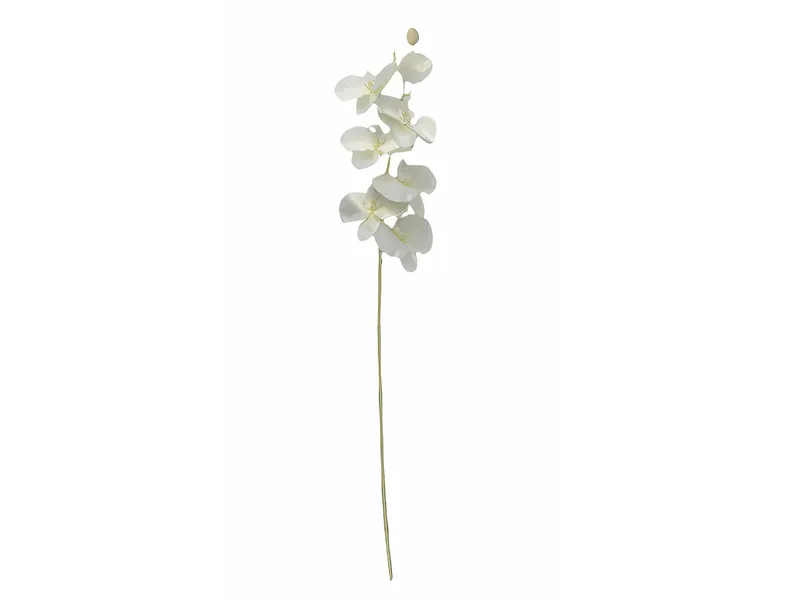31IN/80CM PHALAENOPSIS SPRAY 1