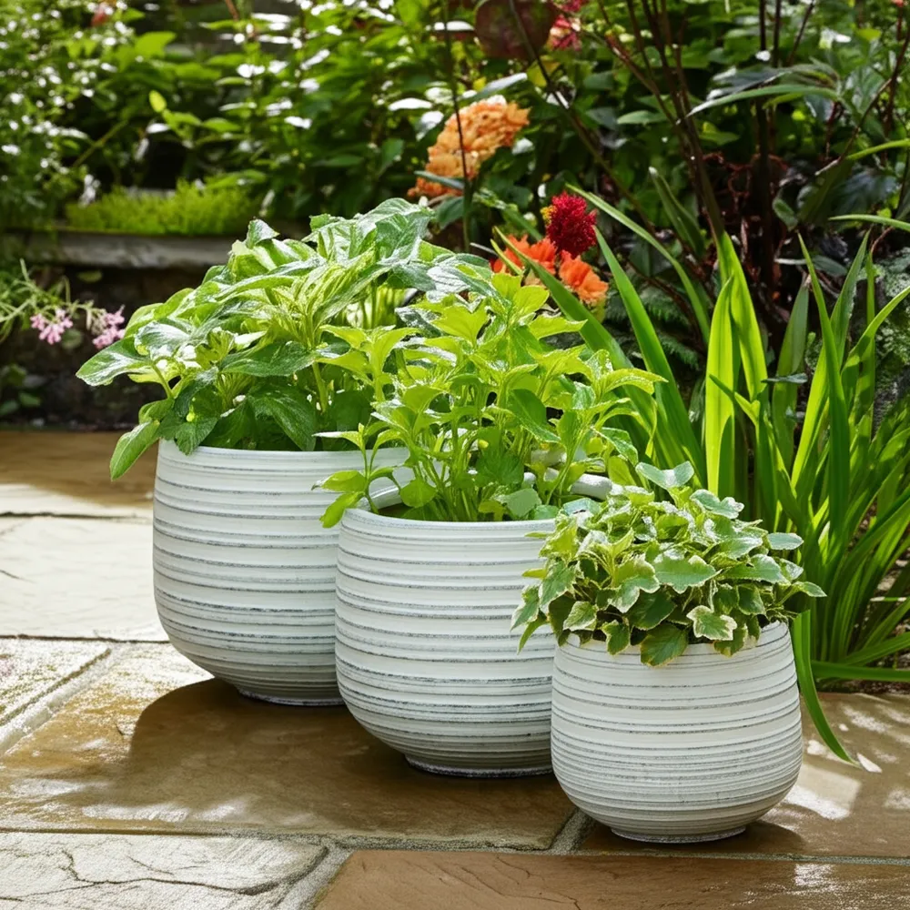 RAYMONDHAVEN SET OF 3 WHITE PLANTER 9 (IN)