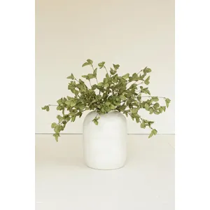 botanica #9035 2