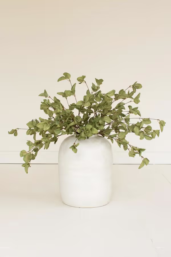 botanica #9035