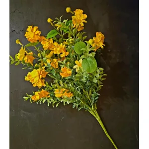 Sunny Meadow Pick 2