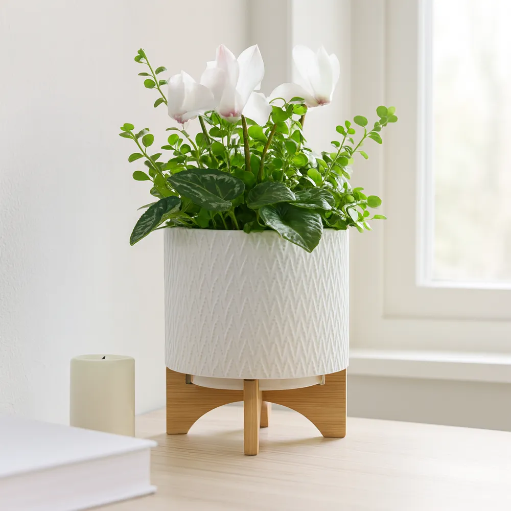DOYLETON WHITE PLANTER 10 (IN)