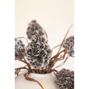 Botanica #2893 4