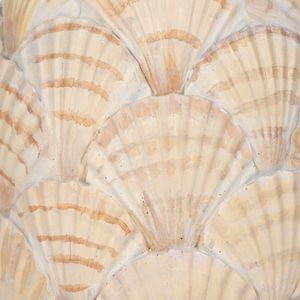 RIDLEYTON IVORY DECOR 12 (IN) 5