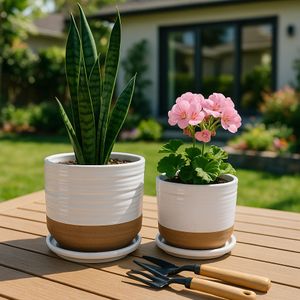 FIONAOAK SET OF 2 PLANTER 7 (IN) 11