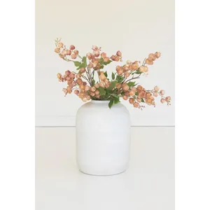 Botanica #3697 2