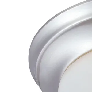 Fluor 14.25'' Wide 2-Light Flush Mount - Brushed Nickel 3