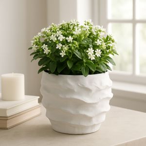 TARYNOAK WHITE PLANTER 6 (IN) 11