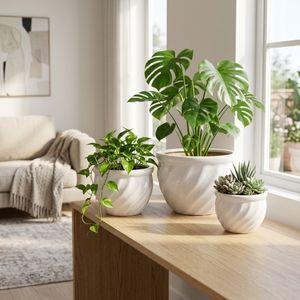 RAYMONDHAVEN SET OF 3 WHITE PLANTER 9 (IN) 2