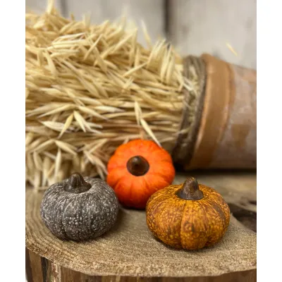 Harvest Pumpkin 2.5x2in Set of 3