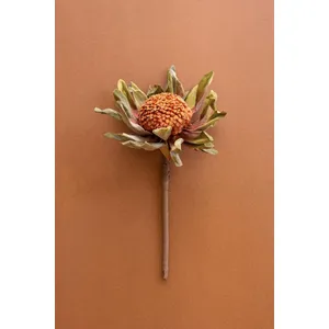 Botanica #2885 1